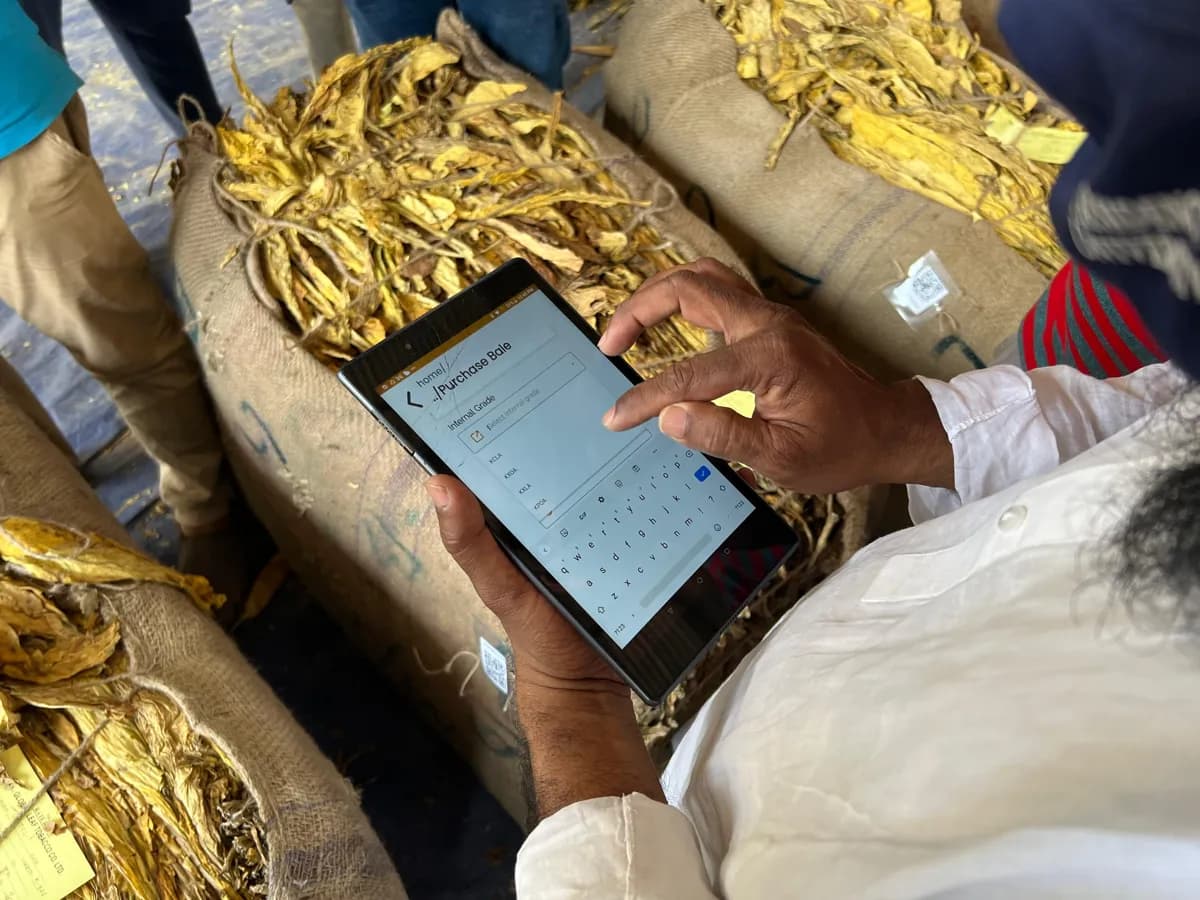 Bale purchase recorded digitally during leaf procurement