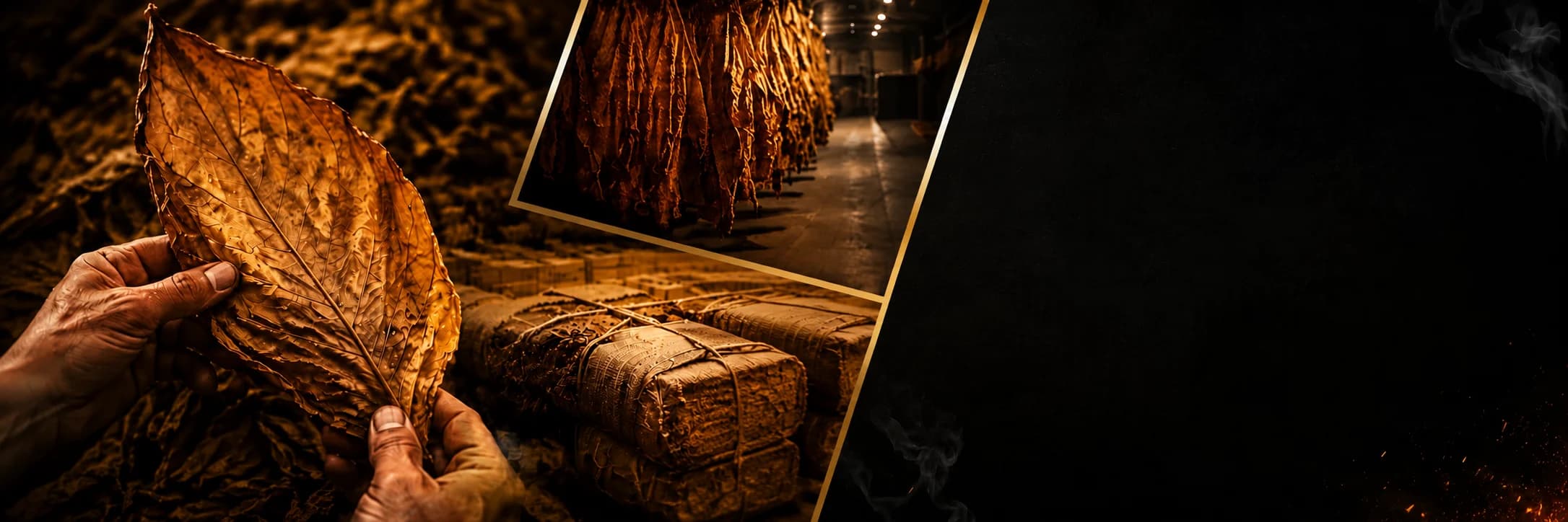 Premium tobacco production collage