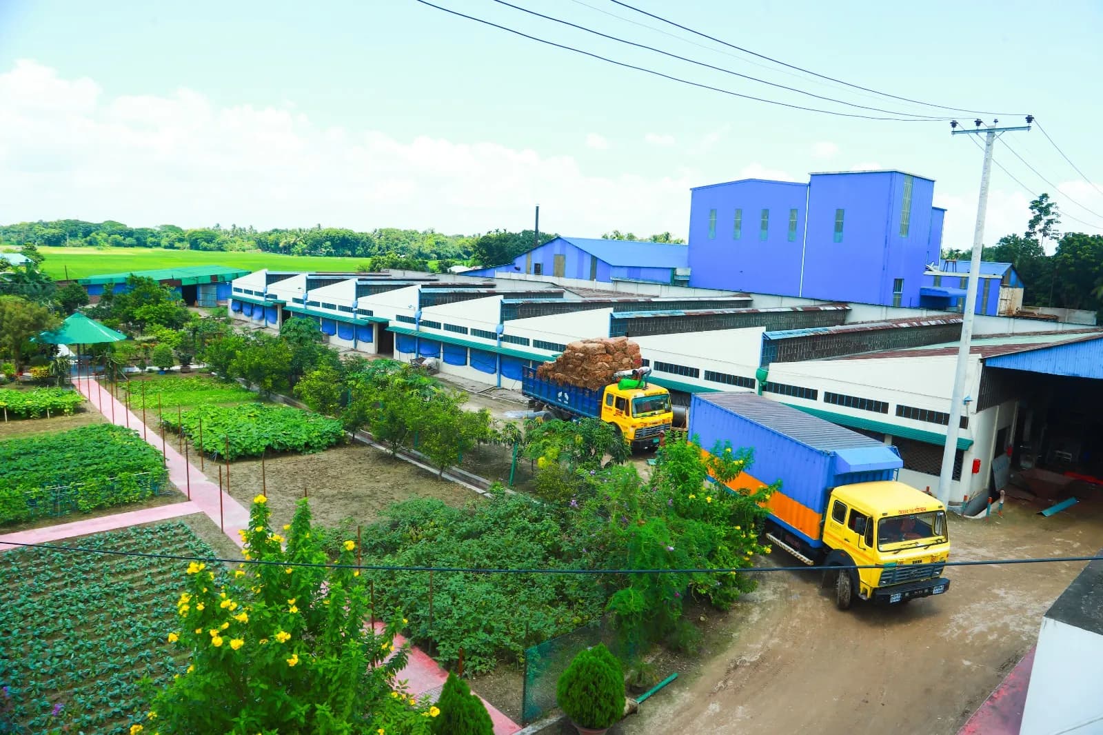 Aerial view of the GLTCL processing facility in Kushtia